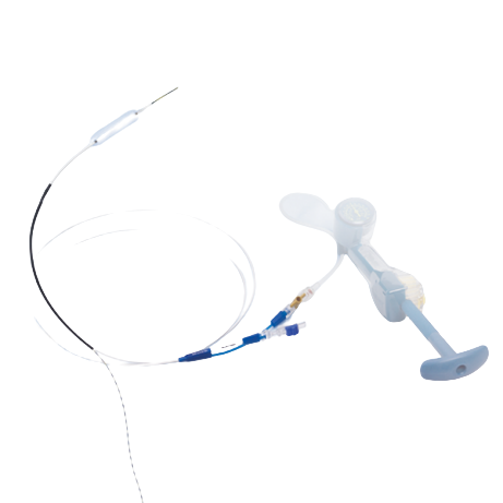 hurricane_biliary_balloon_600x600.image.460.0-removebg-preview